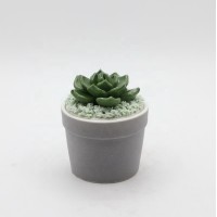 Newest Succulent Design Ceramic Home Decor for Wholesale